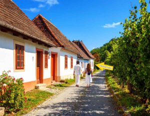 Ingatlan eldo - Haus kaufen in Ungarn